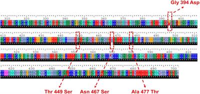 Deletion of NGG1 in a recombinant Saccharomyces cerevisiae improved xylose utilization and affected transcription of genes related to amino acid metabolism